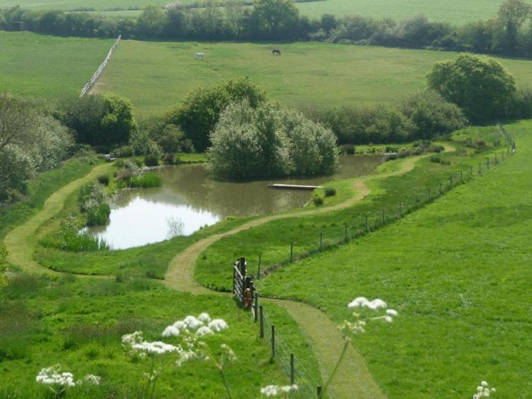 Whiteways Farmhouse Buckland Newton Buitenkant foto