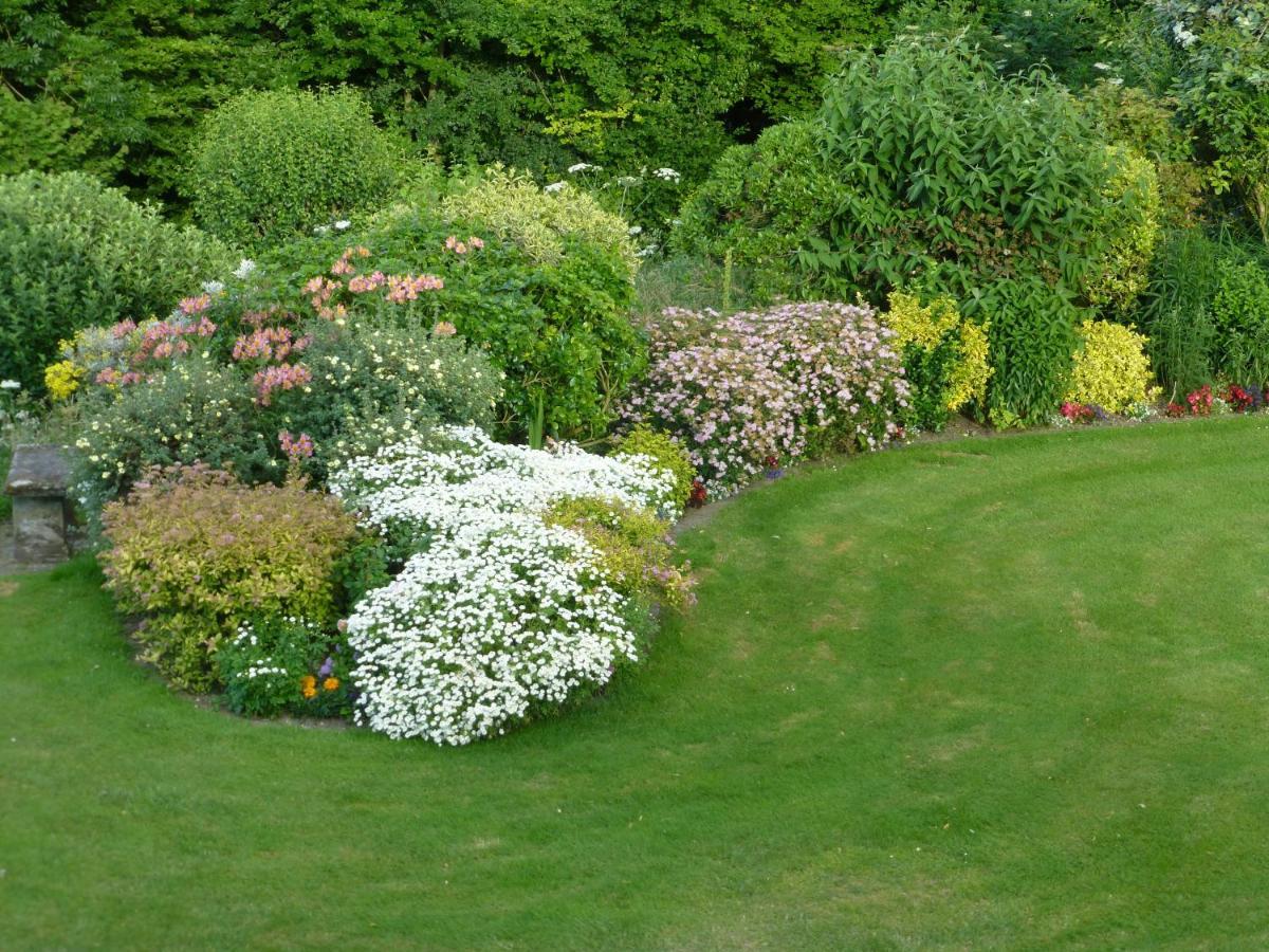 Whiteways Farmhouse Buckland Newton Buitenkant foto